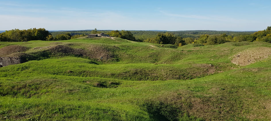 20220922_163406 (1) (1).jpg