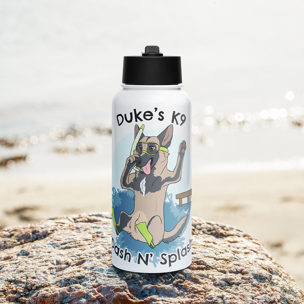 Stainless steel water bottle with a straw lid