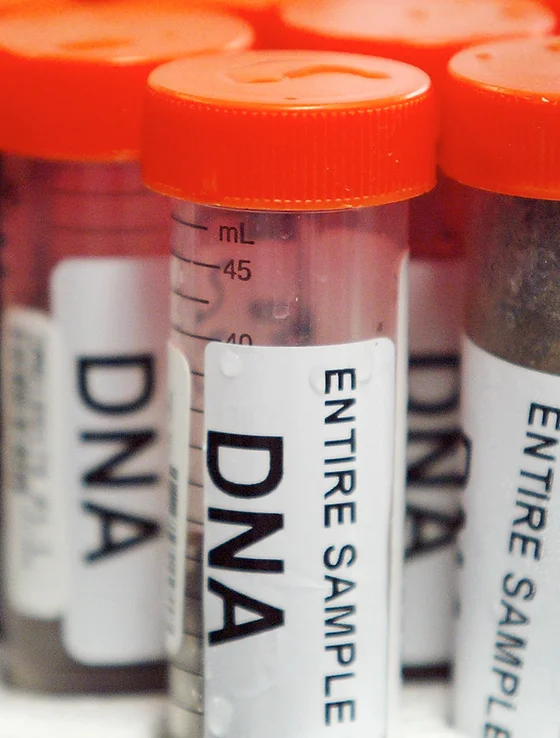 united drug testing laboratory of boise idaho