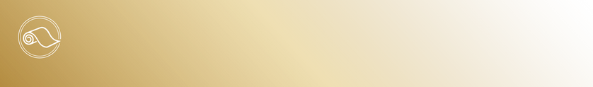 Vector Smart Object-2.png