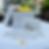 Thumbnail: Monarch Butterflies for Mass Release