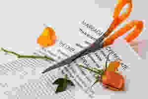 Divorce and Annulment Family Lawyer Nashville Goldtrap Law