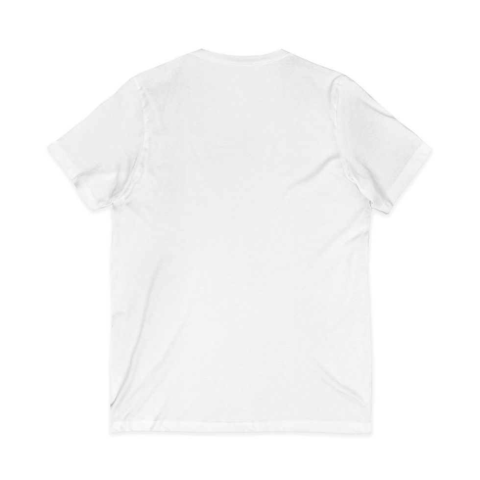 Thumbnail: Baby Blue FIP Awareness – Minimalist Edition V-Neck Tee