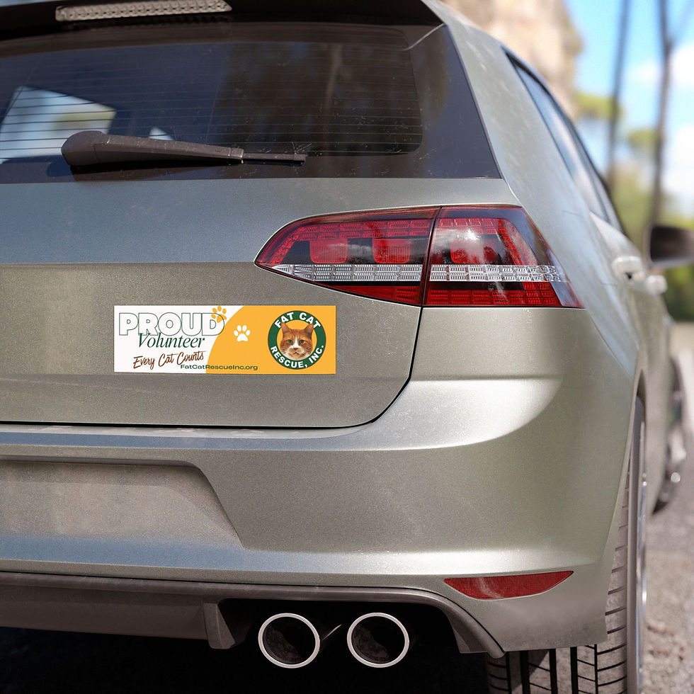 Thumbnail: Fat Cat Rescue Volunteer Car Magnet 10x3