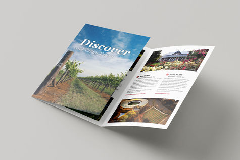 Treasury Wine Estates cellar door visitation brochure