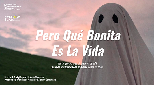 PEROQUEBONITAESLAVIDA_POSTER.png