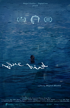 BLUEBIRD_poster_laurels2026.png