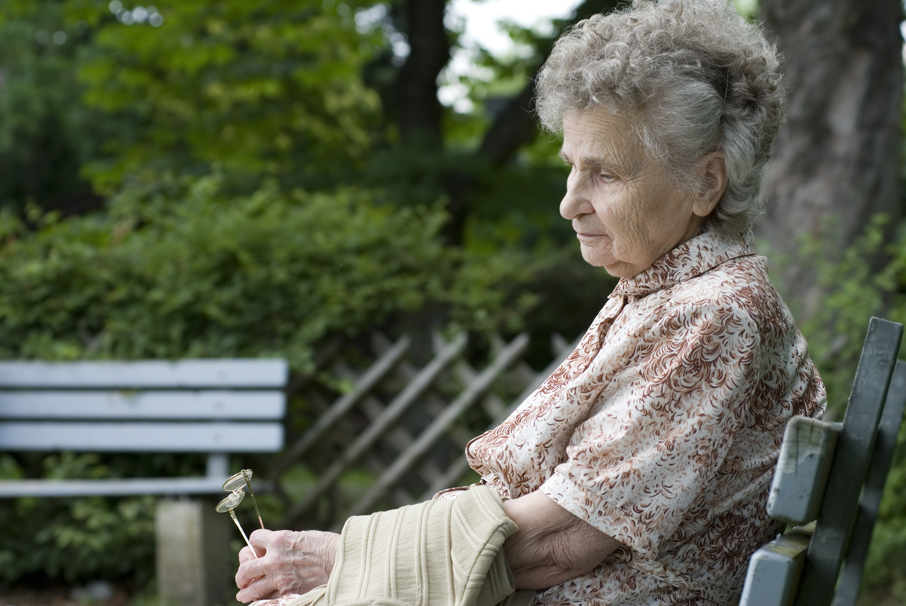 elder abuse why wills and epas are critical canberra legal group