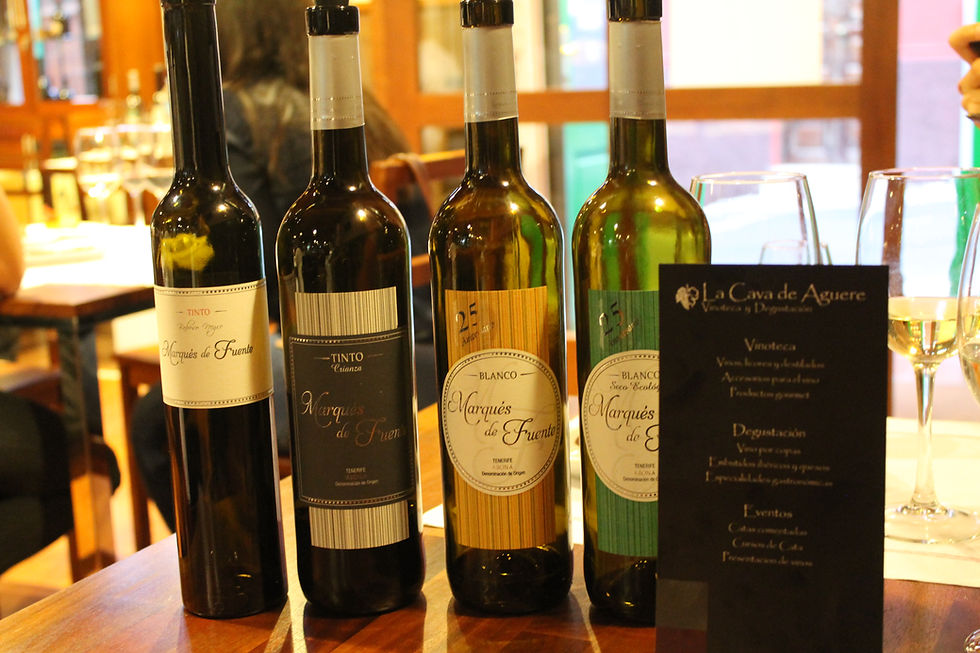 Cata de cuatro vinos