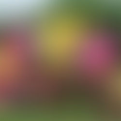 せんなん里海公園