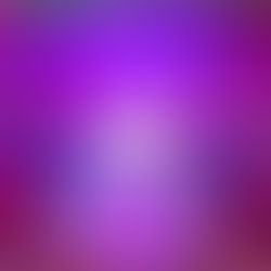 さくらサーカス下見