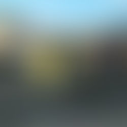 だるまさんが転んだ