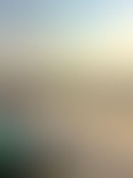 Participation Changes the Landscape