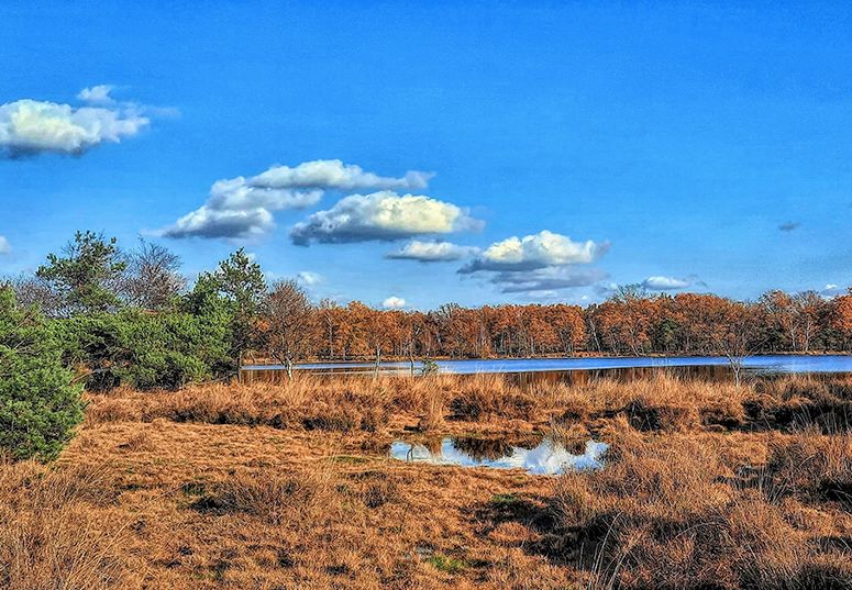 1-daags Winter retreat 'Back to (your own) nature'