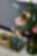 8755 Springwood_027revised_035.jpg