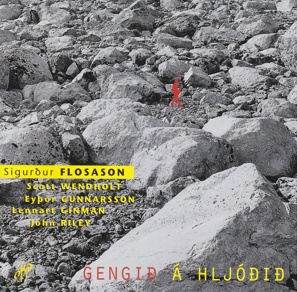 Gengið á hljóðið (1996)