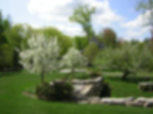 Roberts spring.JPG