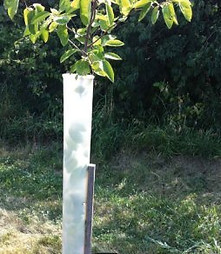 Internet image miracle tube.jpg