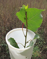 6th grade Eco Ed 2012 256.jpg