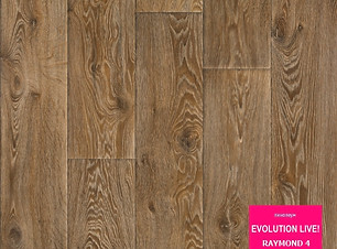 Эв. Раймонд 4.jpg