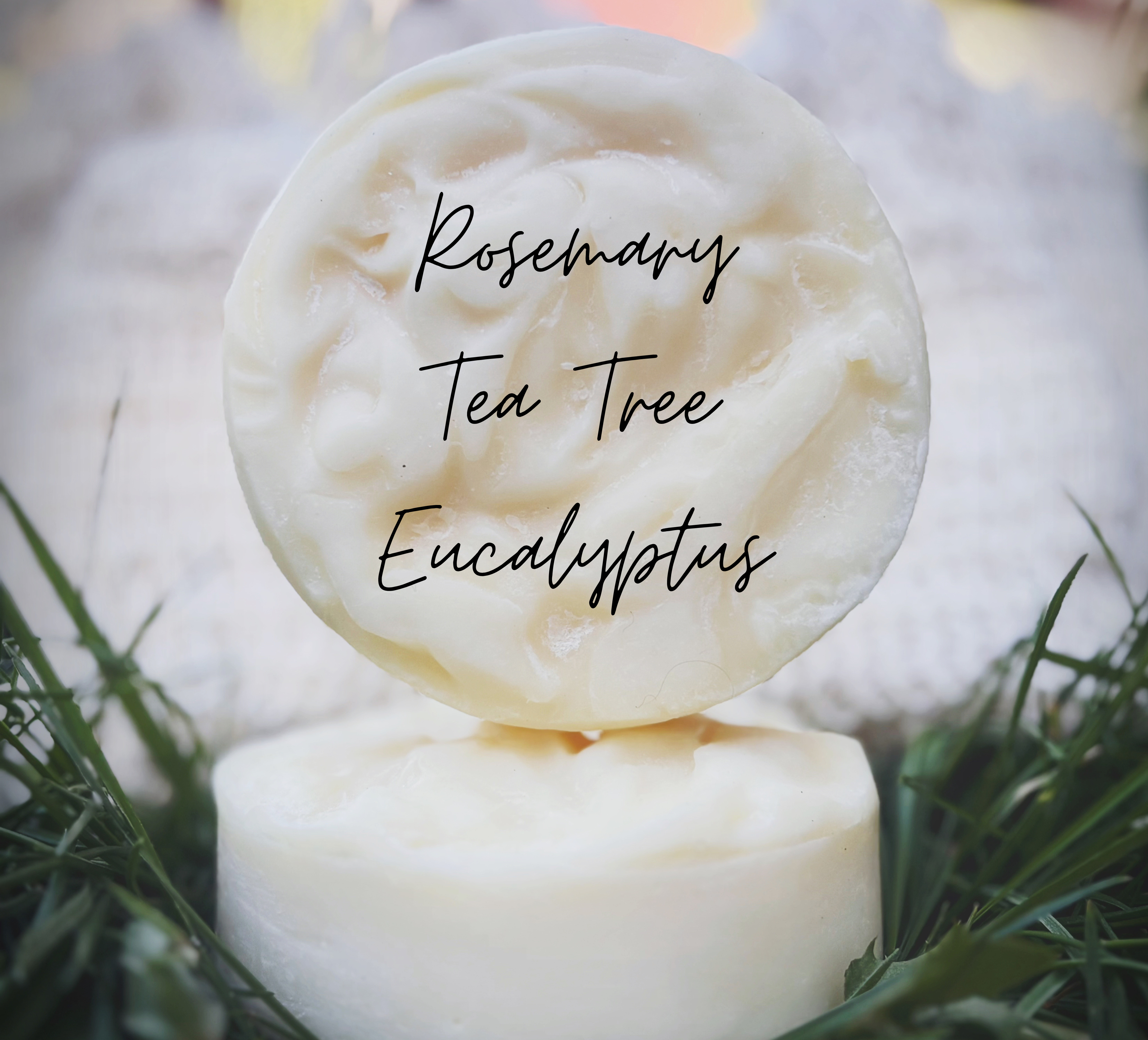 Tallow Shampoo Bar Rosemary, Tea Tree & Eucalyptus