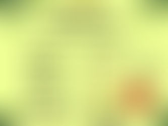 Thjngs Mag presents Jamaica, Rise! Holiday Market at Brooklyn Blooms