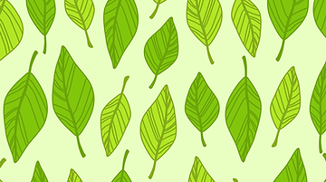 Green Leaves Background