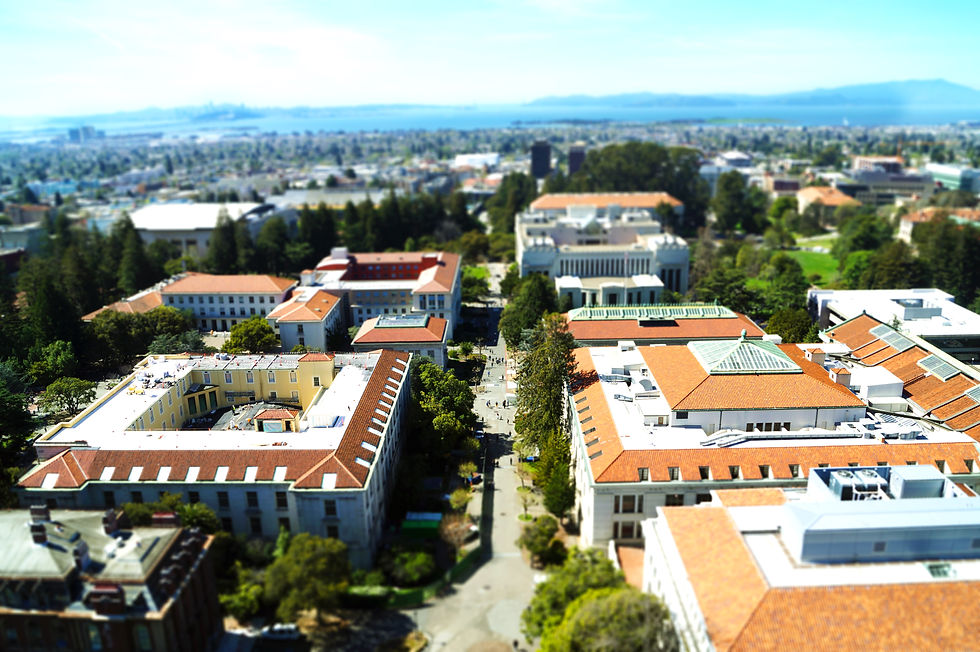 Top of Campanile