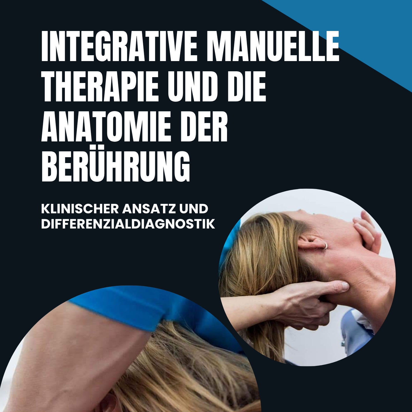 Integrative Manuelle Therapie und die Anatomie der Beruhrung - Buch