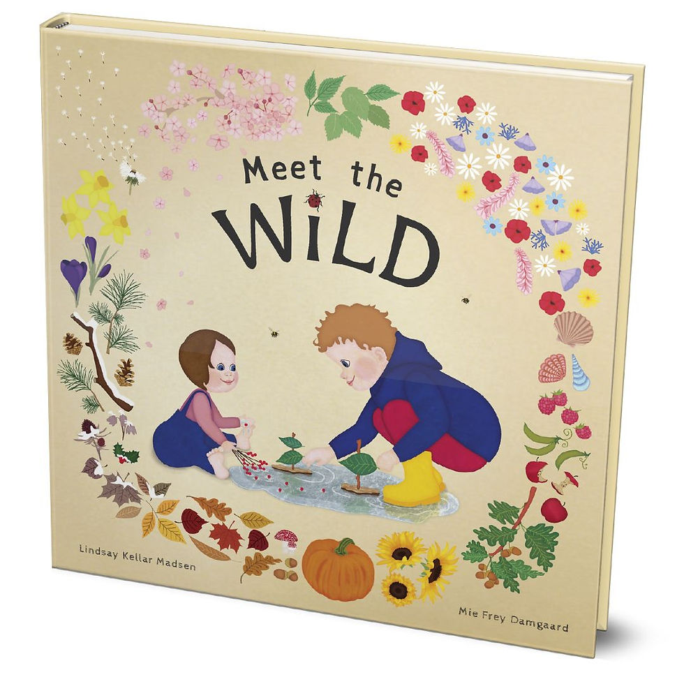 Thumbnail: Meet the Wild