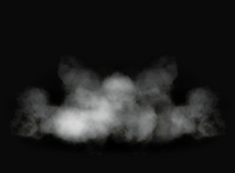 Stick Fedenergy Elite – boost d’énergie sans crash, goût intense, formule premium.