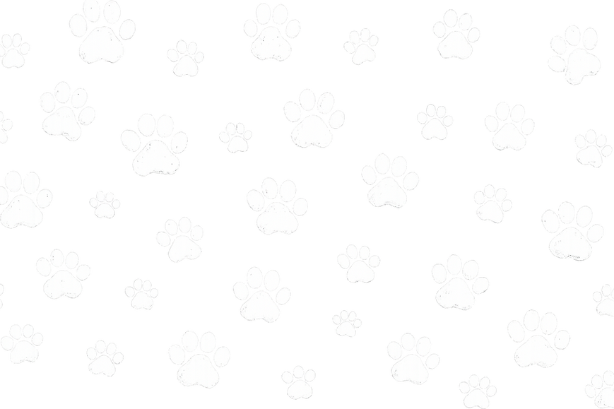 aatp white paws 1.png