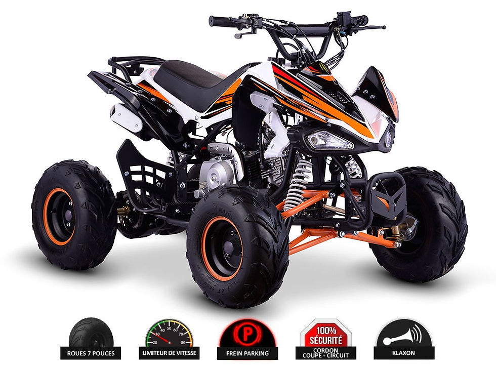 Miniature : QUAD ENFANT TYPHOON 110