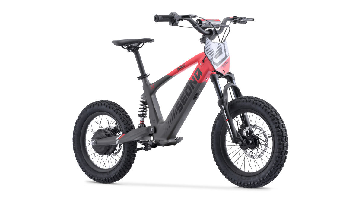 DRAISIENNE ELÉCTRIQUE SEDNA  SX 16"