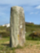 IMG_1286.jpeg