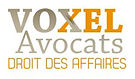 Logo Voxel Avocat.jpg