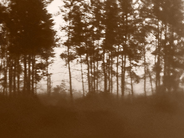 McKeanPhoto_025.jpg