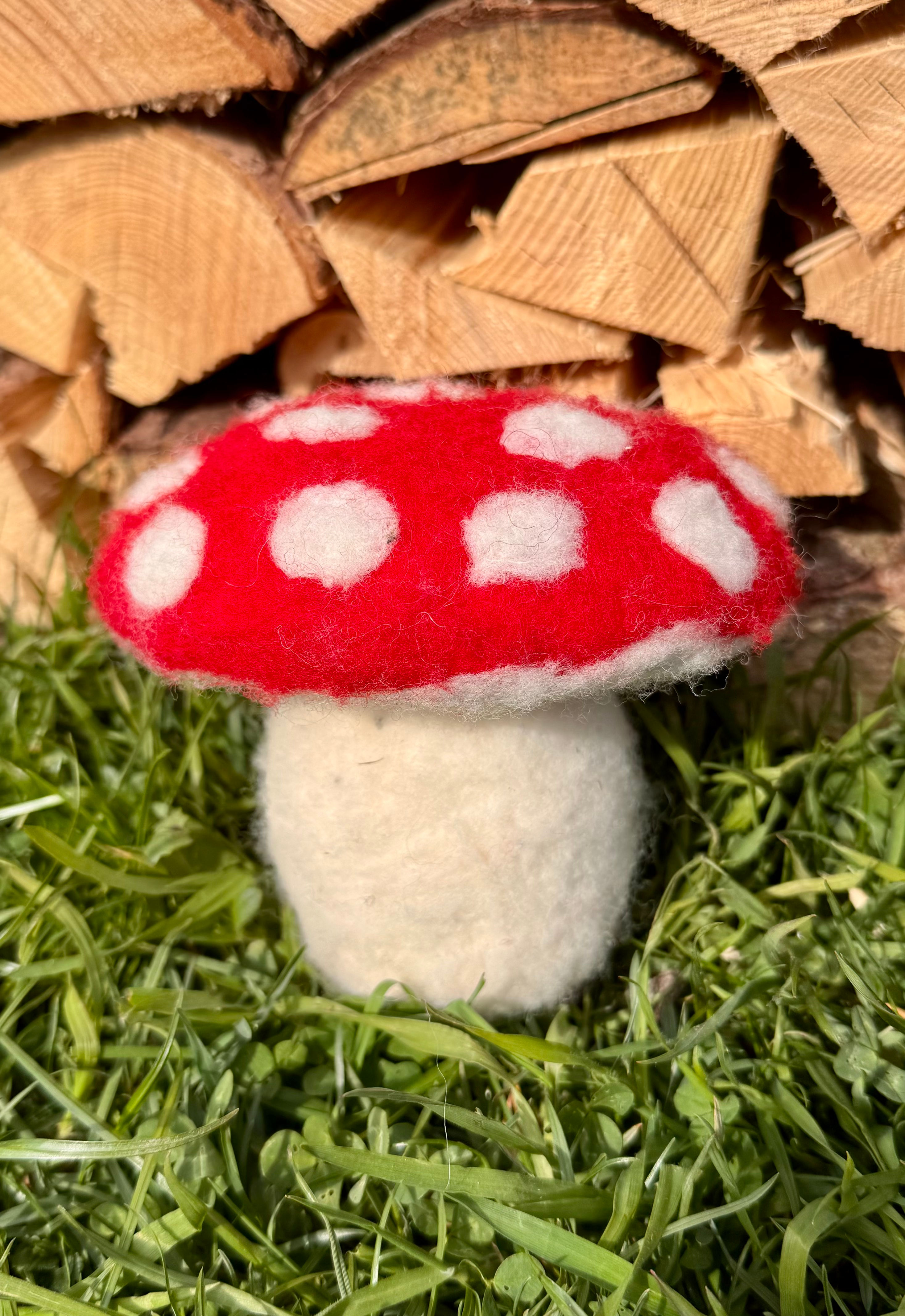 gefilzter Pilz gross