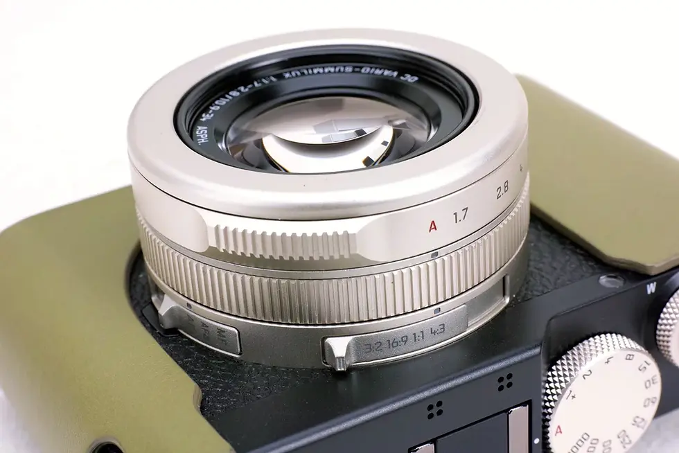 Thumbnail: LEICA D-LUX 8 100 year anniversary