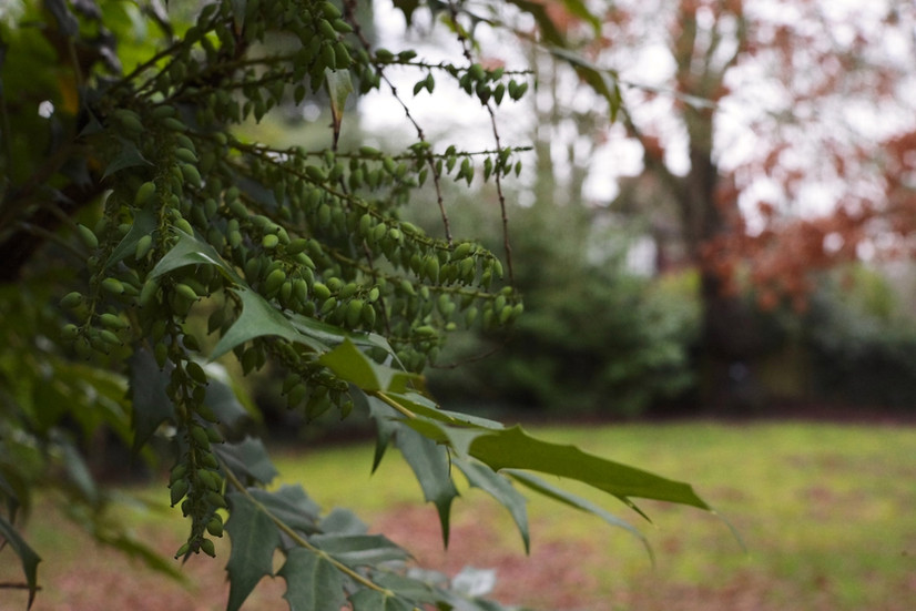 @the red sweet spot indicator between f5.6 & f8