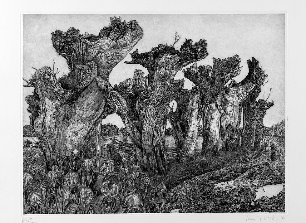 Gerenot Richter