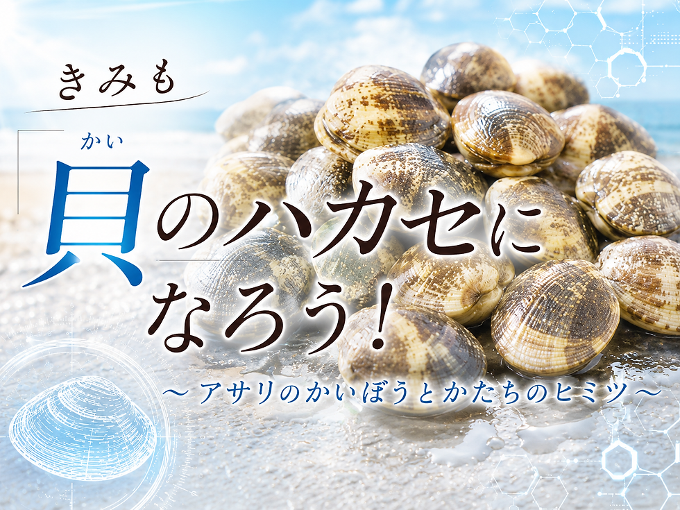 貝のハカセ.png