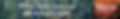 The Maine Thing | Banner Ad