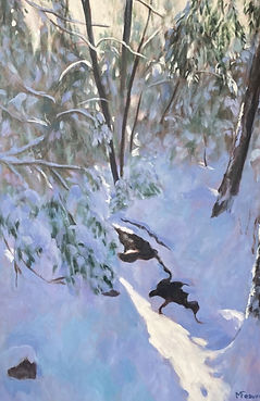 2025 sunlit moments - creek in snow cropped.JPG