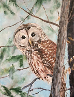 2025 sunlit moments -owl cropped.JPG