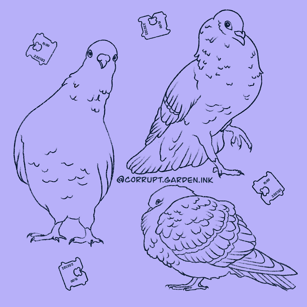 Pigeon Flash Linework