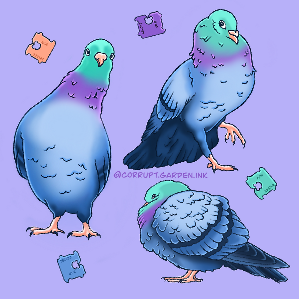 Pigeon Flash