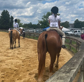 2022-05-29 13.15.35.jpg