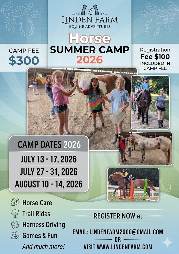 Summer Camp