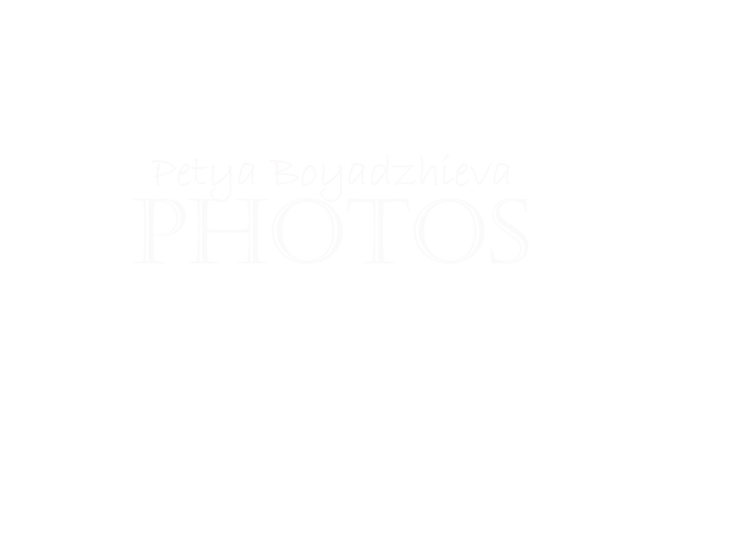 лого бяло.png
